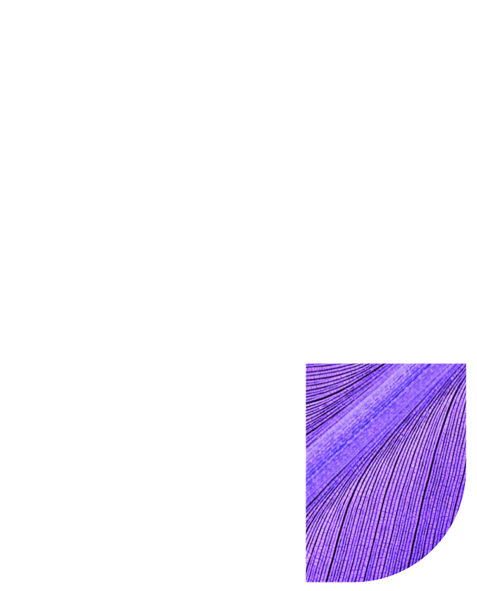 Data Vault 2 0 Ignition